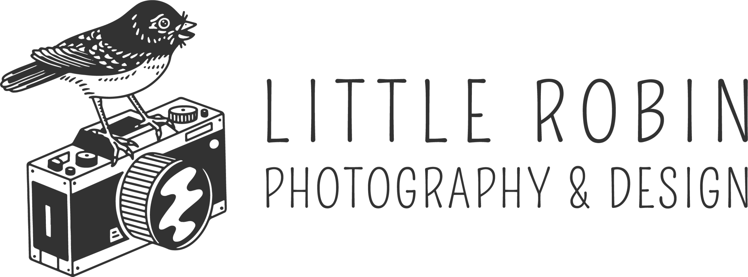 Little Robin Photography-01