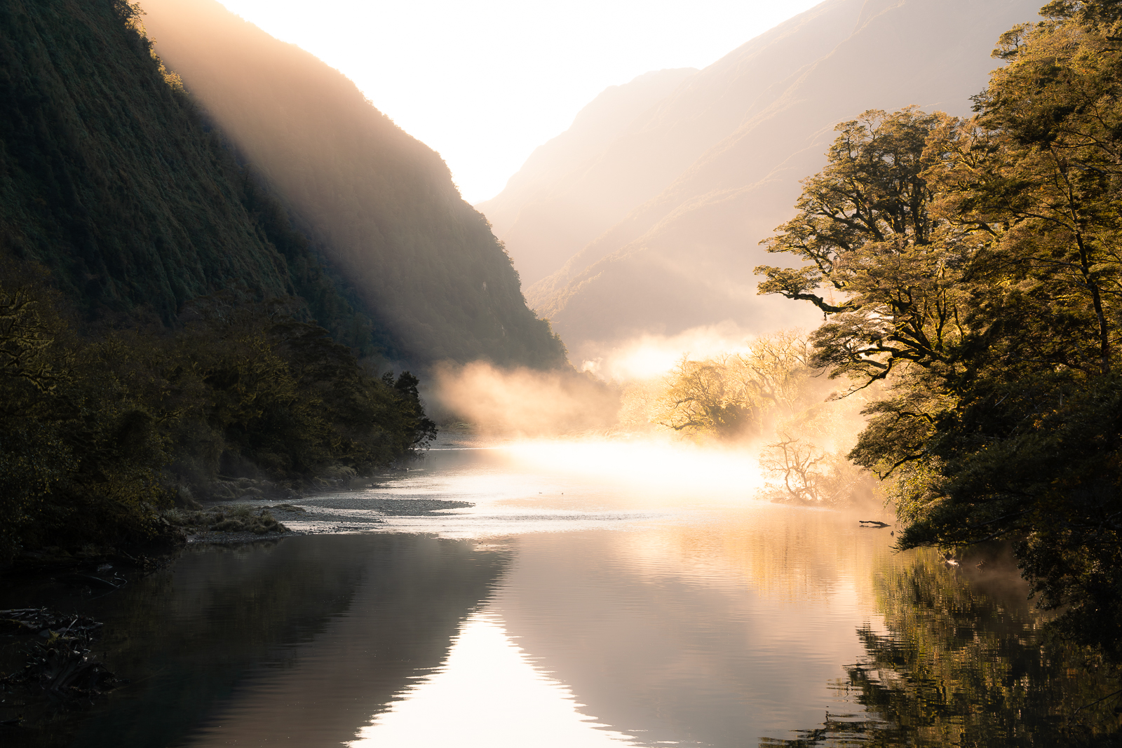 Arthur River Morning Mist